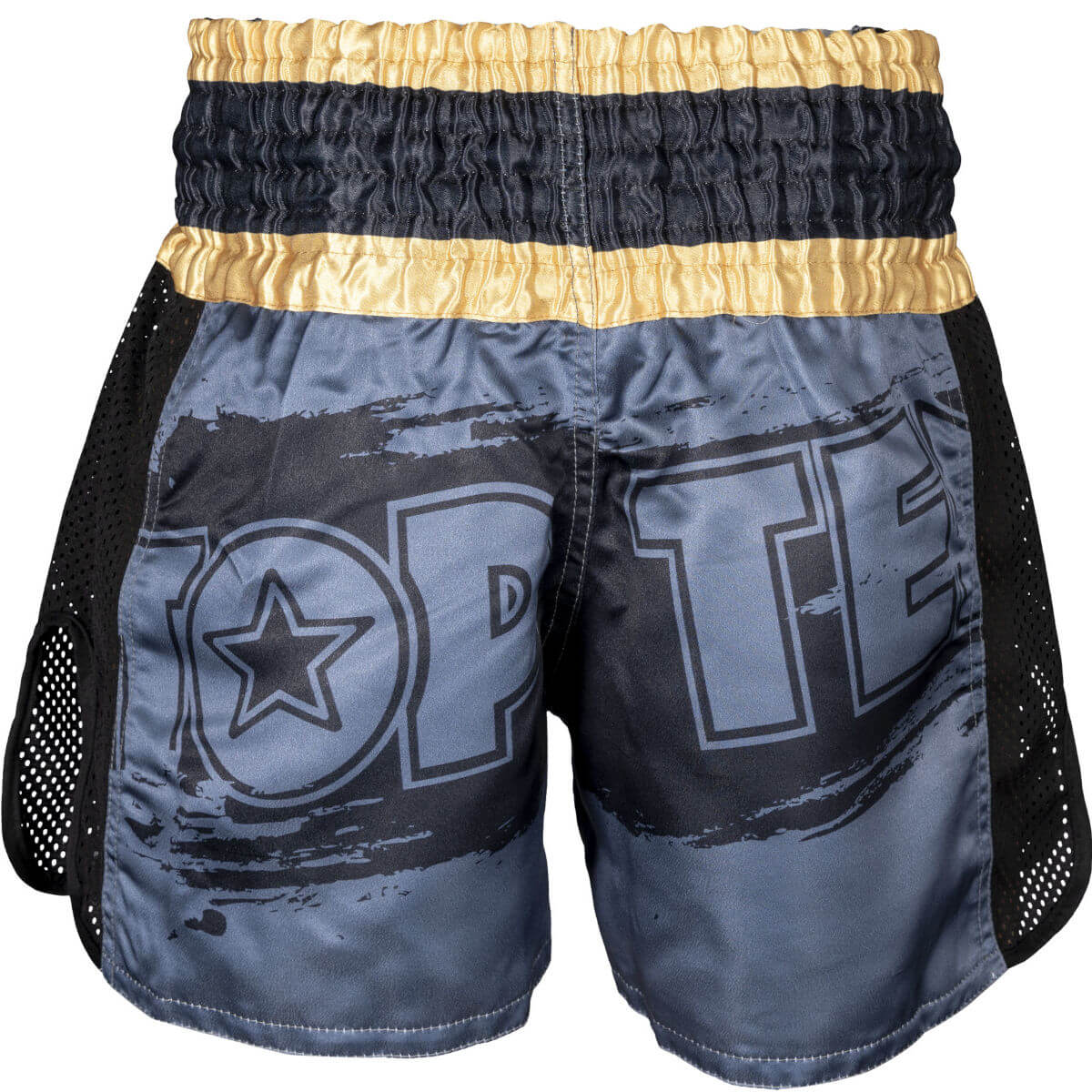 Power Ink Kickboxing Shorts 